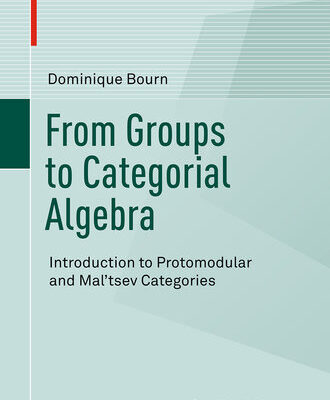 خرید و دانلود نسخه کامل کتاب From Groups to Categorial Algebra: Introduction to Protomodular and Mal’tsev Categories