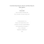 خرید و دانلود نسخه کامل کتاب Generalized Supercharacter Theories and Schur Rings for Hopf Algebras [PhD thesis]