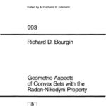 خرید و دانلود نسخه کامل کتاب Geometric Aspects of Convex Sets with the Radon-Nikodym Property
