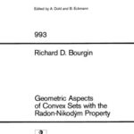 خرید و دانلود نسخه کامل کتاب Geometric Aspects of Convex Sets with the Radon-Nikodým Property