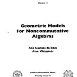 خرید و دانلود نسخه کامل کتاب Geometric models for noncommutative algebras