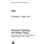 خرید و دانلود نسخه کامل کتاب Geometric Topology and Shape Theory: Proceedings of a Conference held in Dubrovnik, Yugoslavia, Sept. 29 – Oct. 10, 1986