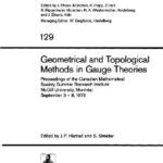 خرید و دانلود نسخه کامل کتاب Geometrical and Topological Methods in Gauge Theories