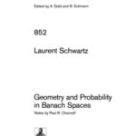 خرید و دانلود نسخه کامل کتاب Geometry and Probability in Banach Spaces