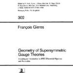 خرید و دانلود نسخه کامل کتاب Geometry of Supersymmetric Gauge Theories