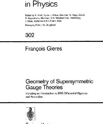 خرید و دانلود نسخه کامل کتاب Geometry of Supersymmetric Gauge Theories