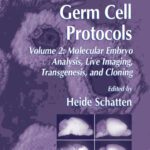 خرید و دانلود نسخه کامل کتاب Germ Cell Protocols: Volume 2: Molecular Embryo Analysis, Live Imaging, Transgenesis, and Cloning