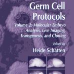 خرید و دانلود نسخه کامل کتاب Germ Cell Protocols: Volume 2: Molecular Embryo Analysis, Live Imaging, Transgenesis, and Cloning