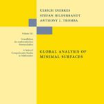 خرید و دانلود نسخه کامل کتاب Global analysis of minimal surfaces