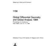 خرید و دانلود نسخه کامل کتاب Global Differential Geometry and Global Analysis 1984