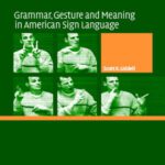 خرید و دانلود نسخه کامل کتاب Grammar, Gesture, and Meaning in American Sign Language