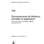 خرید و دانلود نسخه کامل کتاب Grossissements de filtrations, exemples et applications(fr