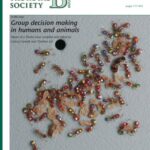 خرید و دانلود نسخه کامل کتاب Group decision making in humans and animals (Philosophical Transactions of the Royal Society series B)