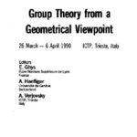 خرید و دانلود نسخه کامل کتاب Group theory from a geometrical viewpoint