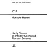 خرید و دانلود نسخه کامل کتاب Hardy Classes on Infinitely Connected Riemann Surfaces