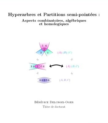 خرید و دانلود نسخه کامل کتاب Hyperarbres et Partitions semi-pointées : Aspects combinatoires, algébriques et homologiques
