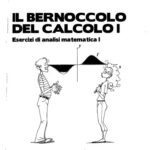 خرید و دانلود نسخه کامل کتاب Il bernoccolo del calcolo I – Esercizi di analisi matematica I