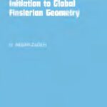 خرید و دانلود نسخه کامل کتاب Initiation to global Finslerian geometry