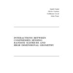 خرید و دانلود نسخه کامل کتاب Interactions between compressed sensing, random matrices, and high dimensional geometry