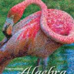 خرید و دانلود نسخه کامل کتاب Intermediate Algebra, 3rd Edition