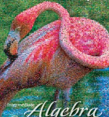 خرید و دانلود نسخه کامل کتاب Intermediate Algebra, 3rd Edition