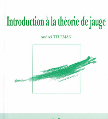 خرید و دانلود نسخه کامل کتاب Introduction à la théorie de jauge