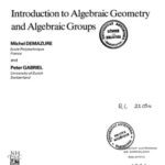 خرید و دانلود نسخه کامل کتاب Introduction to Algebraic Geometry and Algebraic Groups
