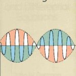 خرید و دانلود نسخه کامل کتاب Introduction to Linear Algebra and Differential Equations