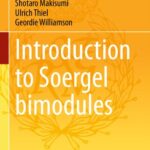 خرید و دانلود نسخه کامل کتاب Introduction to Soergel Bimodules