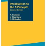 خرید و دانلود نسخه کامل کتاب Introduction to the h-Principle