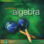 خرید و دانلود نسخه کامل کتاب Introductory Algebra: A Real-World Approach (3rd Edition)