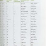 خرید و دانلود نسخه کامل کتاب Jasno! A1-A2: Russisch für Anfänger. Lehrbuch