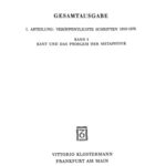 خرید و دانلود نسخه کامل کتاب Kant und das Problem der Metaphysik (1929)
