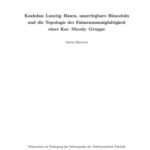 خرید و دانلود نسخه کامل کتاب Kazhdan-Lusztig-Basen, unzerlegbare Bimoduln und die Topologie der Fahnenmannigfaltigkeit einer Kac-Moody-Gruppe [PhD thesis]