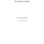 خرید و دانلود نسخه کامل کتاب Kommutative Algebra