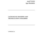 خرید و دانلود نسخه کامل کتاب Lagrangian shadows and triangulated categories