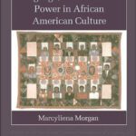 خرید و دانلود نسخه کامل کتاب Language, Discourse and Power in African American Culture (Studies in the Social and Cultural Foundations of Language)
