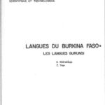 خرید و دانلود نسخه کامل کتاب Langues du Burkina Faso : les langues Gurunsi