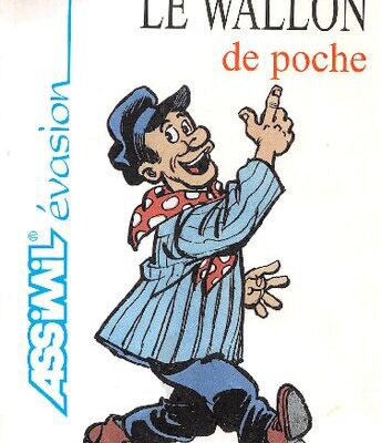 خرید و دانلود نسخه کامل کتاب Le wallon de poche