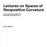 خرید و دانلود نسخه کامل کتاب Lectures on Spaces of Nonpositive Curvature (Oberwolfach Seminars)