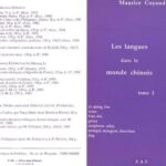 خرید و دانلود نسخه کامل کتاب Les langues dans le monde chinois 2