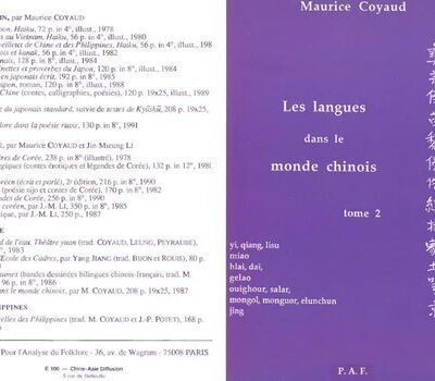 خرید و دانلود نسخه کامل کتاب Les langues dans le monde chinois 2