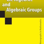 خرید و دانلود نسخه کامل کتاب Lie Algebras and Algebraic Groups