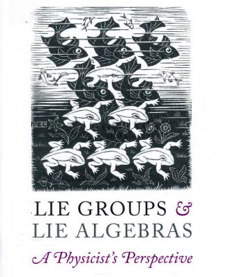 خرید و دانلود نسخه کامل کتاب Lie Groups and Lie Algebras. A Physicist’s Perspective