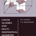 خرید و دانلود نسخه کامل کتاب Linear Algebra and Multi-Dimensional Geometry