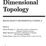 خرید و دانلود نسخه کامل کتاب Low Dimensional Topology