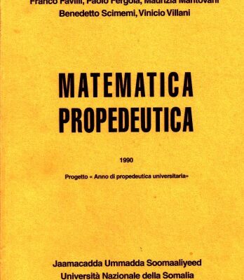 خرید و دانلود نسخه کامل کتاب Matematica propedeutica