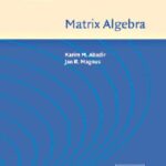 خرید و دانلود نسخه کامل کتاب Matrix Algebra