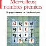 خرید و دانلود نسخه کامل کتاب Merveilleux nombres premiers