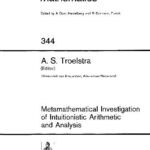 خرید و دانلود نسخه کامل کتاب Metamathematical Investigation Of Intuitionistic Arithmetic And Analysis